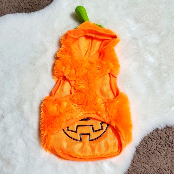 DOG HALLOWEEN PUMPKIN 🎃 COSTUME BY WAGBY - Picture 2 of 11